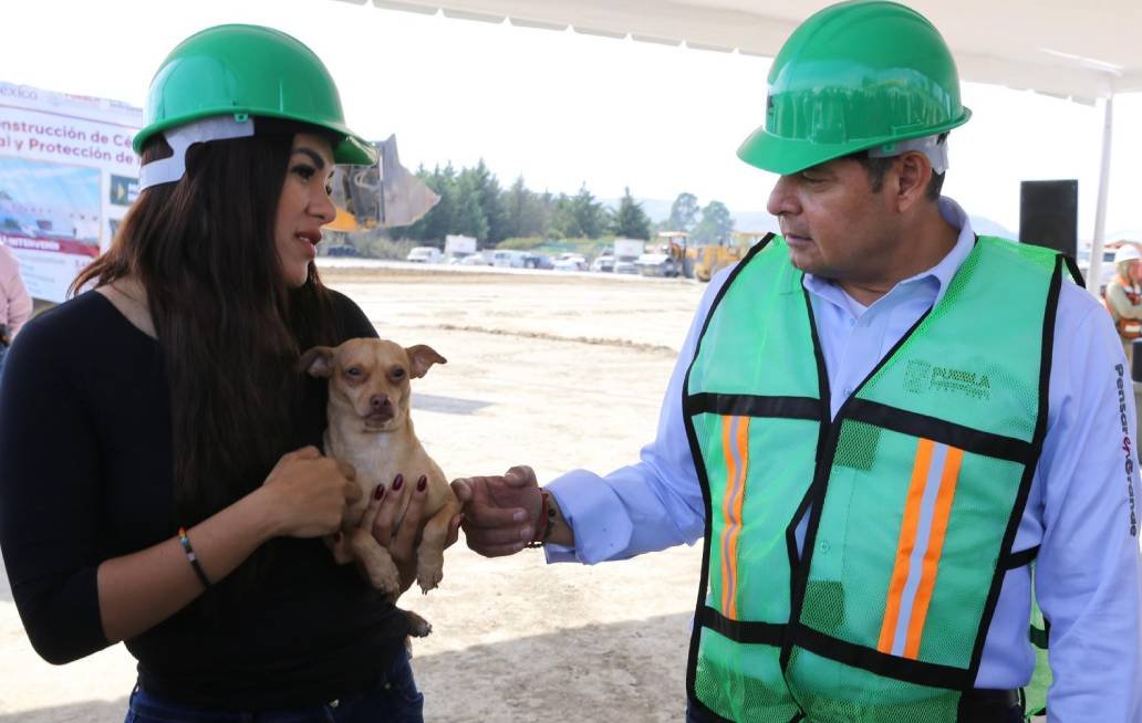 Seres sintientes requieren cuidado, no compras impulsivas: Gobierno de Puebla