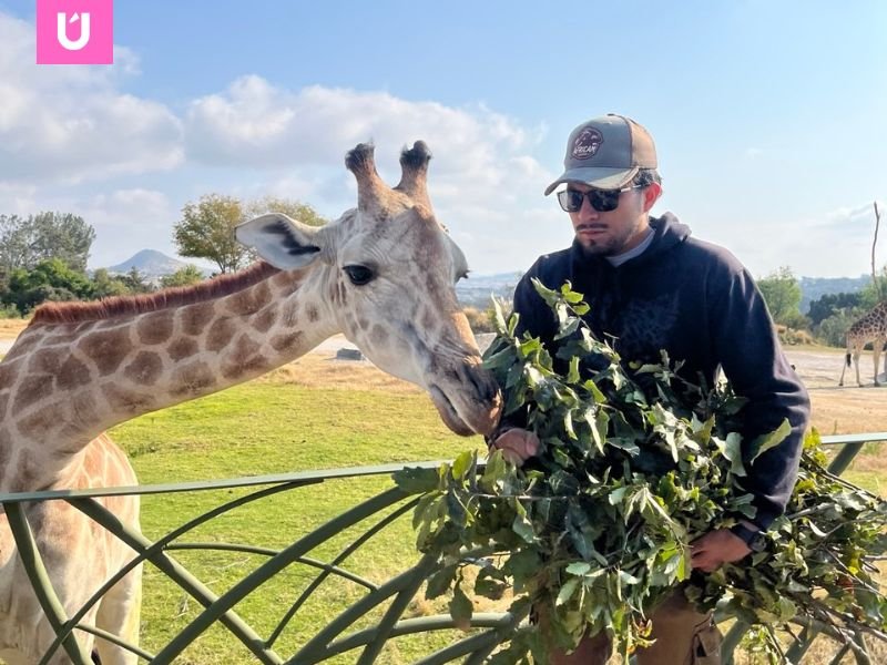 ANGELOPOLIS WELLNES EN AFRICAM SAFARI
