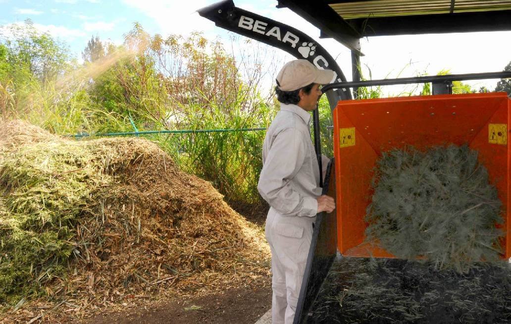 BUAP, por 300 árboles de navidad para composta