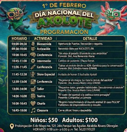 Museo del Axolote celebrará el Día Nacional del Axolote 2026