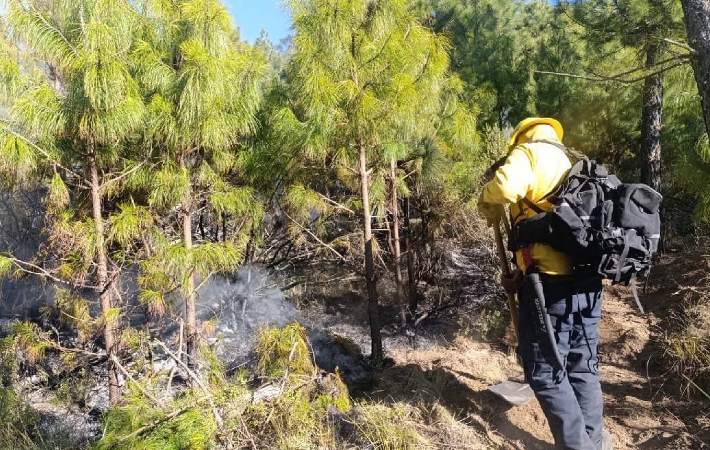Mantiene Gobierno de Puebla control de incendios forestales y protege ecosistemas