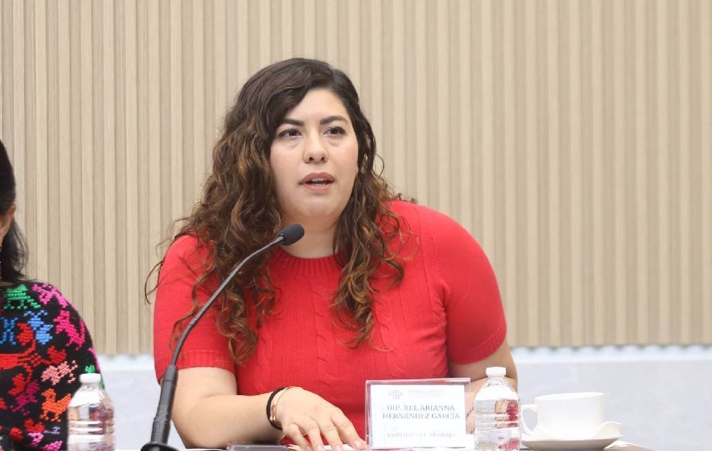 diputada Xel Arianna