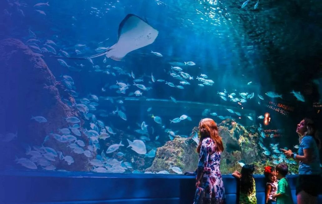 Acuario Michin Puebla lanza promos imperdibles para Abril ACUARIO MICHN PUEBLA