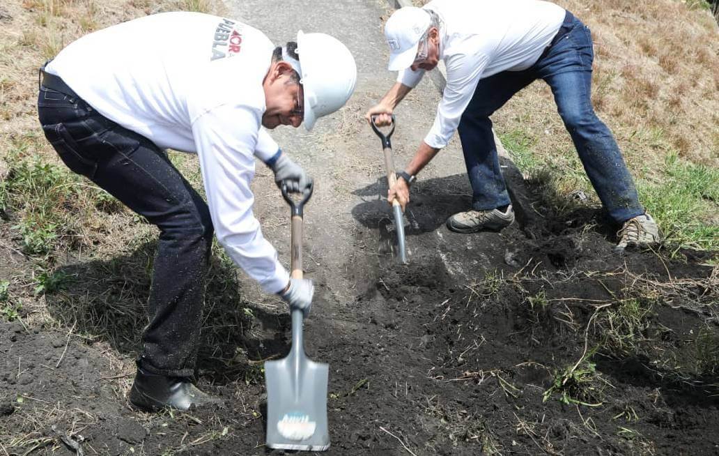 Refuerza Gobierno de la Ciudad de Puebla acciones de reforestación en la capital poblana