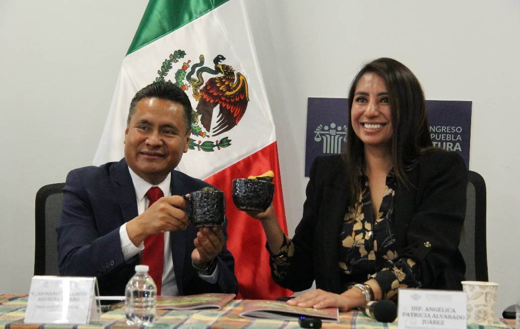 angelica alvarado j.