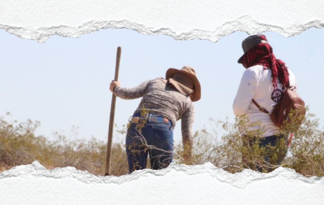 México 2025: el año más letal para las madres buscadoras