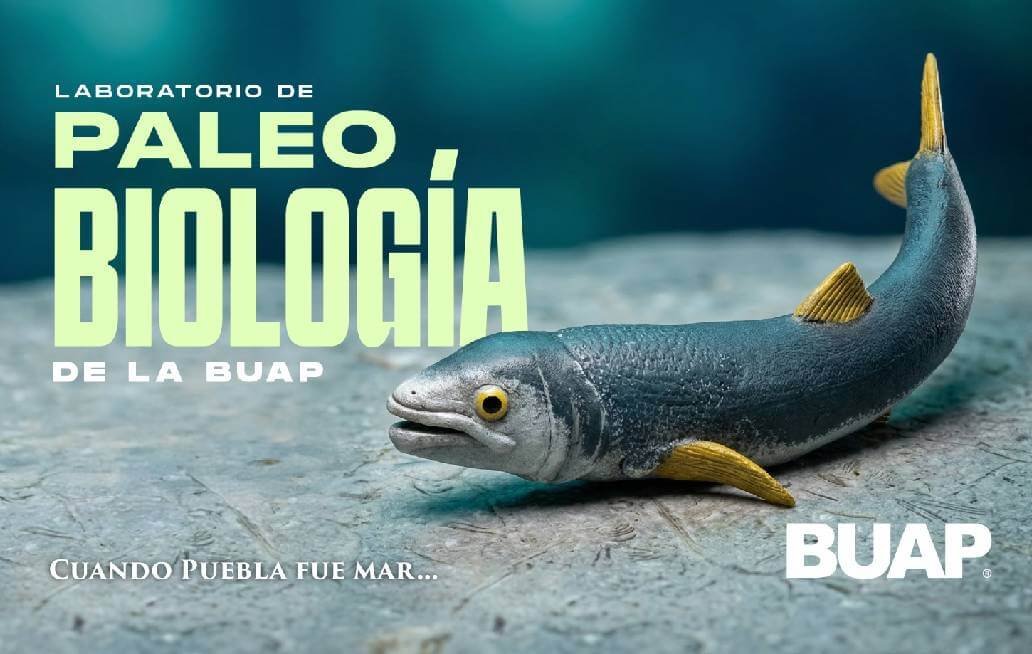  Laboratorio de Paleobiología de la BUAP, evidencia de vida