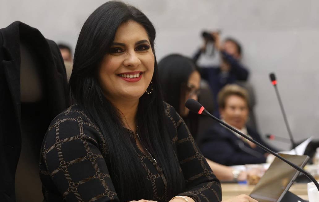 Planea la diputada Delfina Pozos ajuste a reformas sobre el delito de despojo Planea la diputada Delfina Pozos ajuste a reformas sobre el delito de despojo