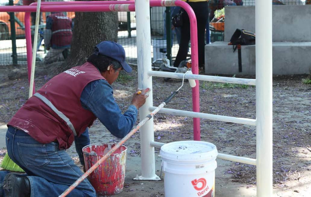 Realiza Gobierno de la Ciudad labores de poda y chapeo en espacios públicos Realiza Gobierno de la Ciudad labores de poda y chapeo en espacios