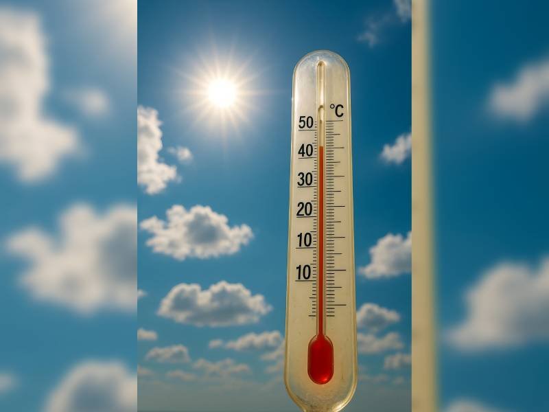 desccubre los 17 estados