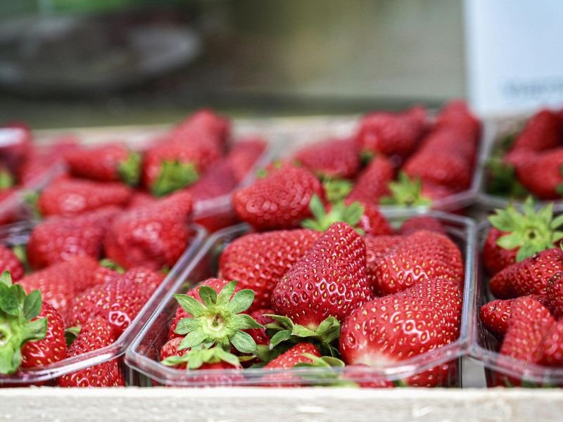efectos de los frutos rojos