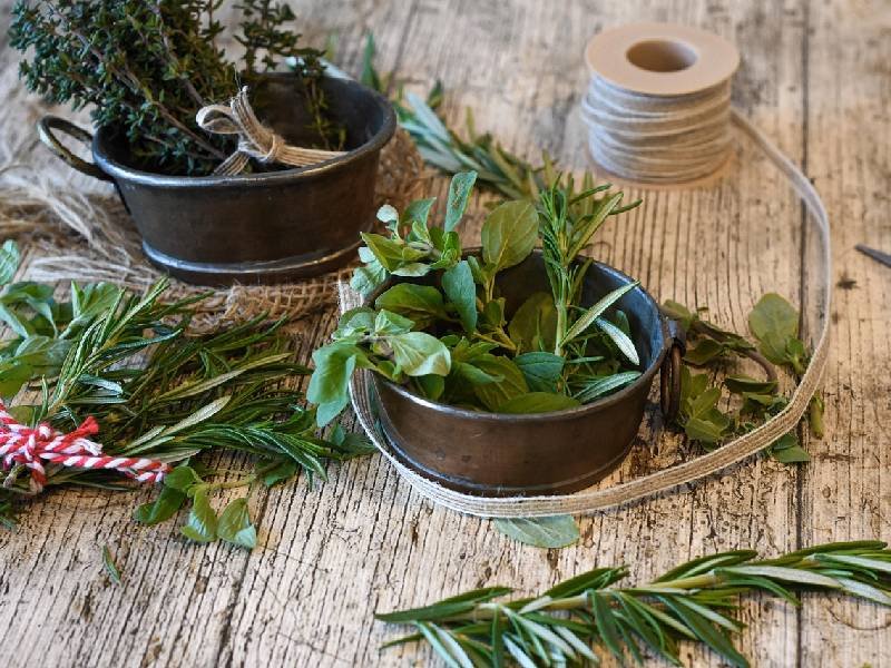 el secreto de la hierba aromtica