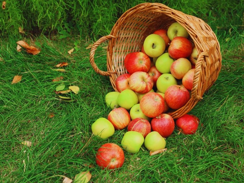 estas frutas como influyen