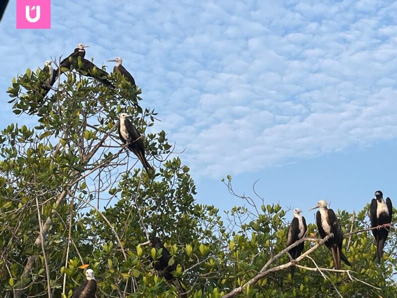 Barra de Potosí, Ixtapa-Zihuatanejo