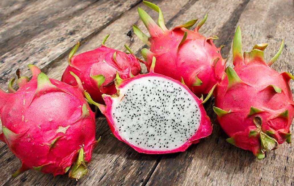 Anuncian la Feria de la Pitaya y Pitajaya en Huiziltepec; será el 30 y 31 de mayo Anuncian la Feria de la Pitaya y Pitajaya en Huiziltepec; será el 30 y 31 de mayo