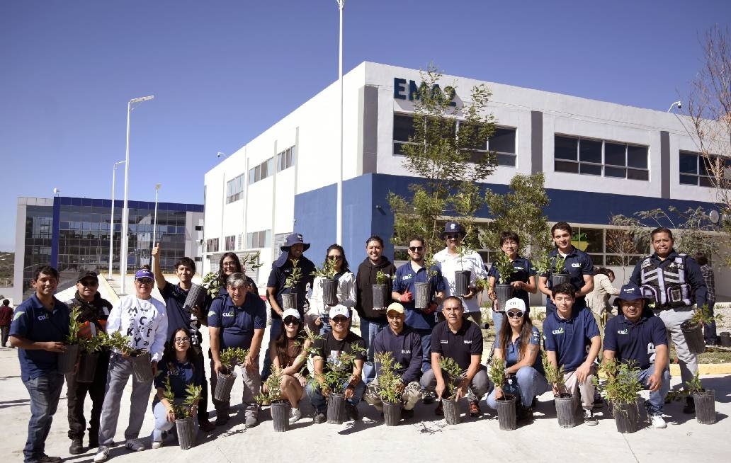 Realizan alumnos BUAP arborización en CU2 Realizan alumnos BUAP arborización en CU2