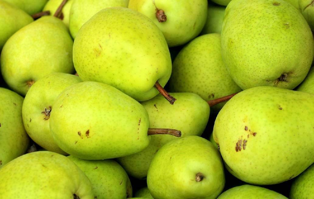 Descubre los beneficios de comer pera Descubre los beneficios de comer pera