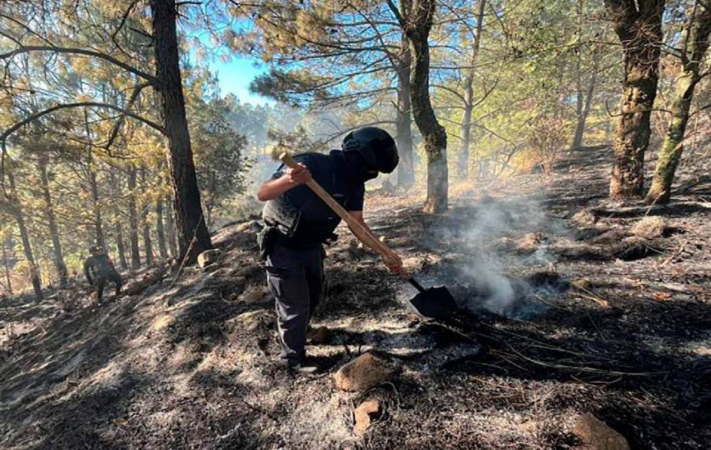 Fortalece Gobierno de Puebla protección y combate a delitos ambientales Fortalece Gobierno de Puebla protección y combate a delitos