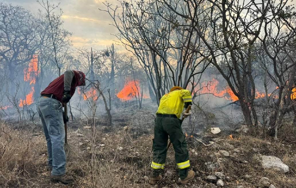 Gobierno de Puebla continúa combate de incendio en la Mixteca Gobierno de Puebla continúa combate de incendio en la Mixteca
