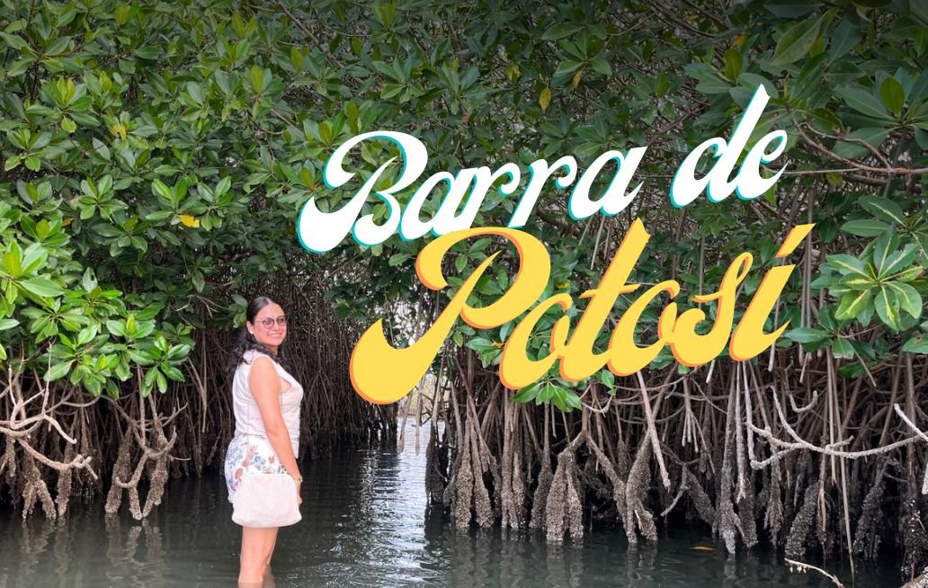 Barra de Potosí: el rincón escondido de Ixtapa-Zihuatanejo Barra de Potosí, Ixtapa-Zihuatanejo