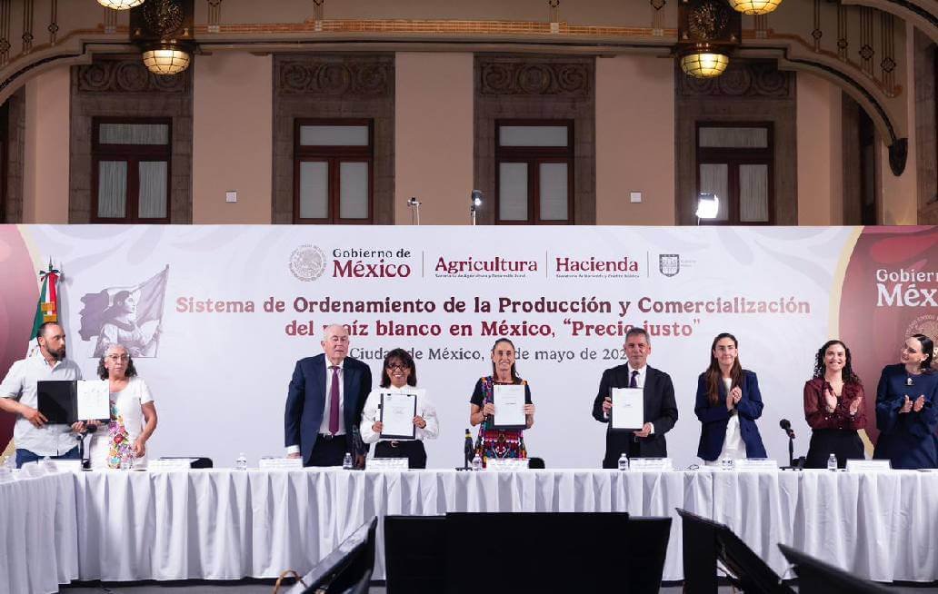 Sheinbaum crea el Sistema de Ordenamiento de la Producción y Comercialización del maíz blanco en México Sheinbaum crea el Sistema de Ordenamiento de la Producción