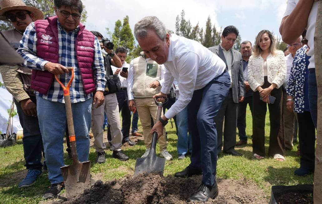 Avanza Chedraui en la recuperación de áreas verdes con “Raíces del Futuro” Avanza Chedraui en la recuperación de áreas verdes