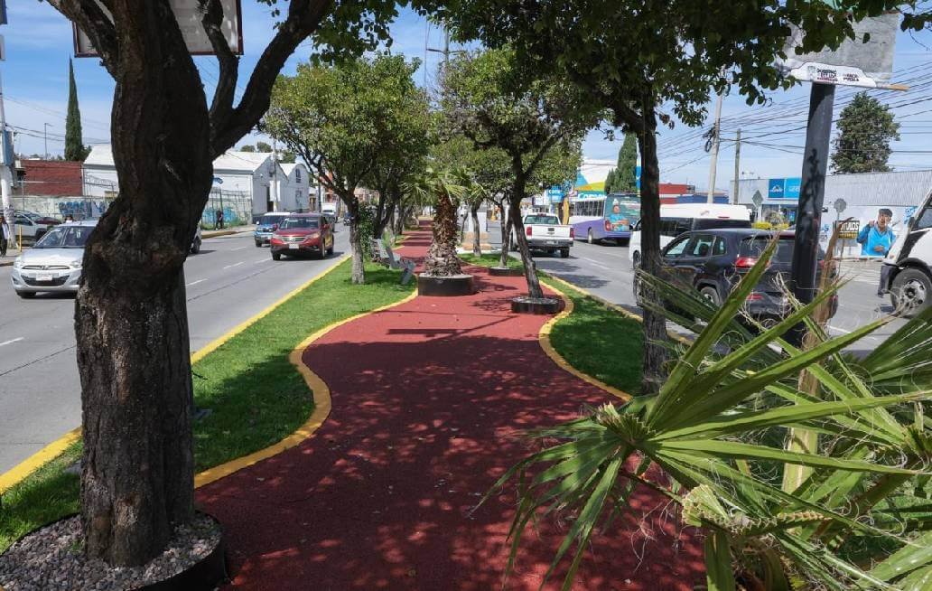  Paseo de Campeonas y Campeones honra el legado deportivo