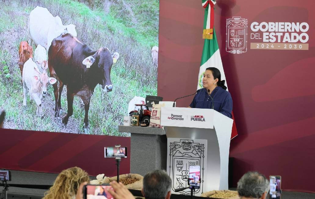 Puebla intensifica combate al gusano barrenador con vigilancia, capacitación y prevención Puebla intensifica combate al gusano barrenador con vigilancia