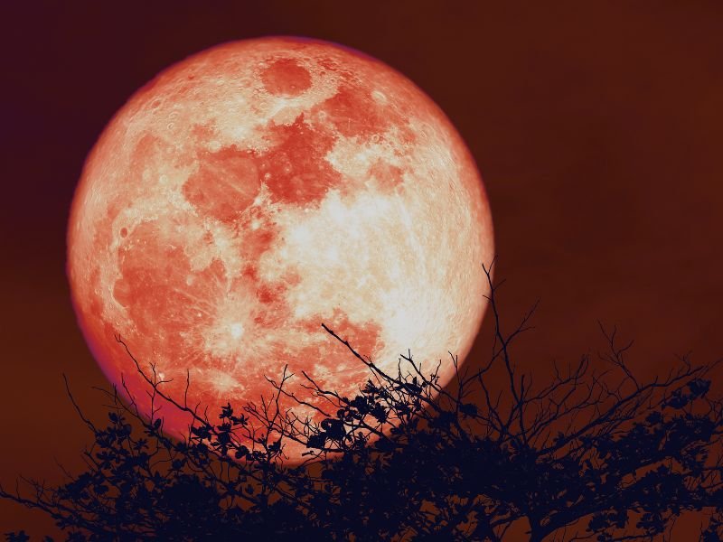 la luna de fresa y su simbolismo