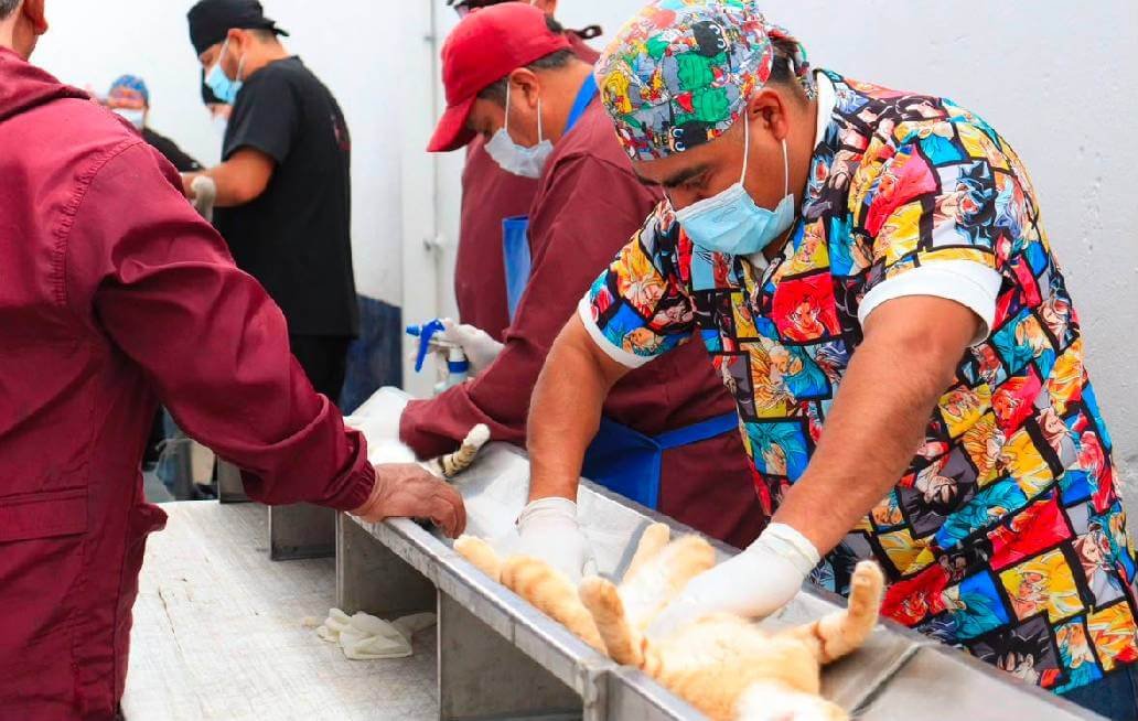 Con el liderazgo de Pepe Chedraui, Puebla fortalece el bienestar animal con más de 200 jornadas de protección animal Con el liderazgo de Pepe Chedraui, Puebla fortalece