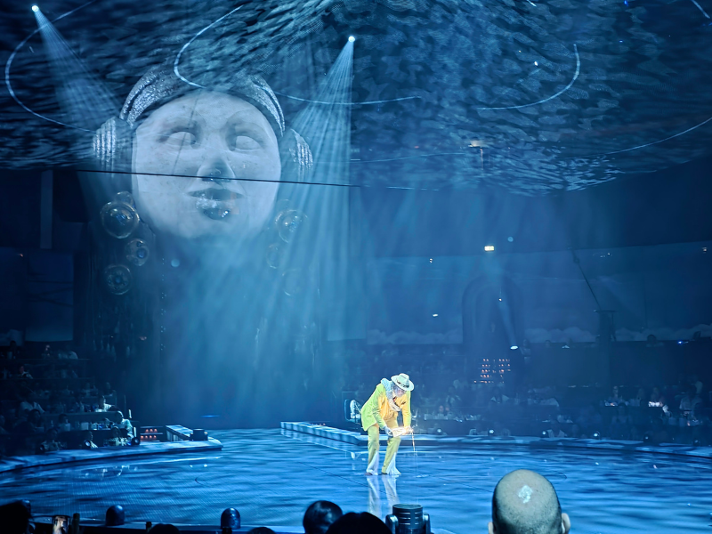 Cirque du Soleil lo volvió a hacer y hoy tienes que vivir LUDÕ