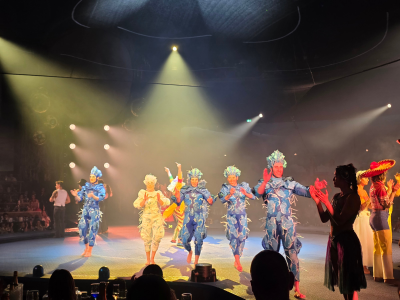 Cirque du Soleil lo volvió a hacer y hoy tienes que vivir LUDÕ