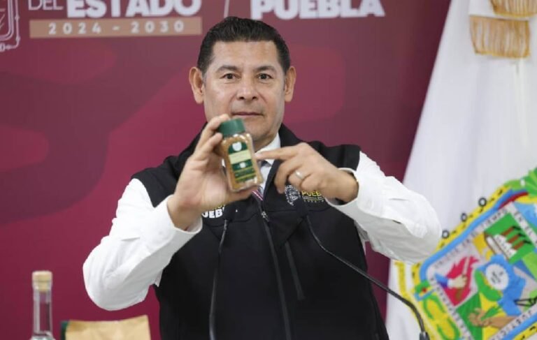 Marca Puebla Cinco de Mayo, política de estado en crecimiento y riqueza comunitaria