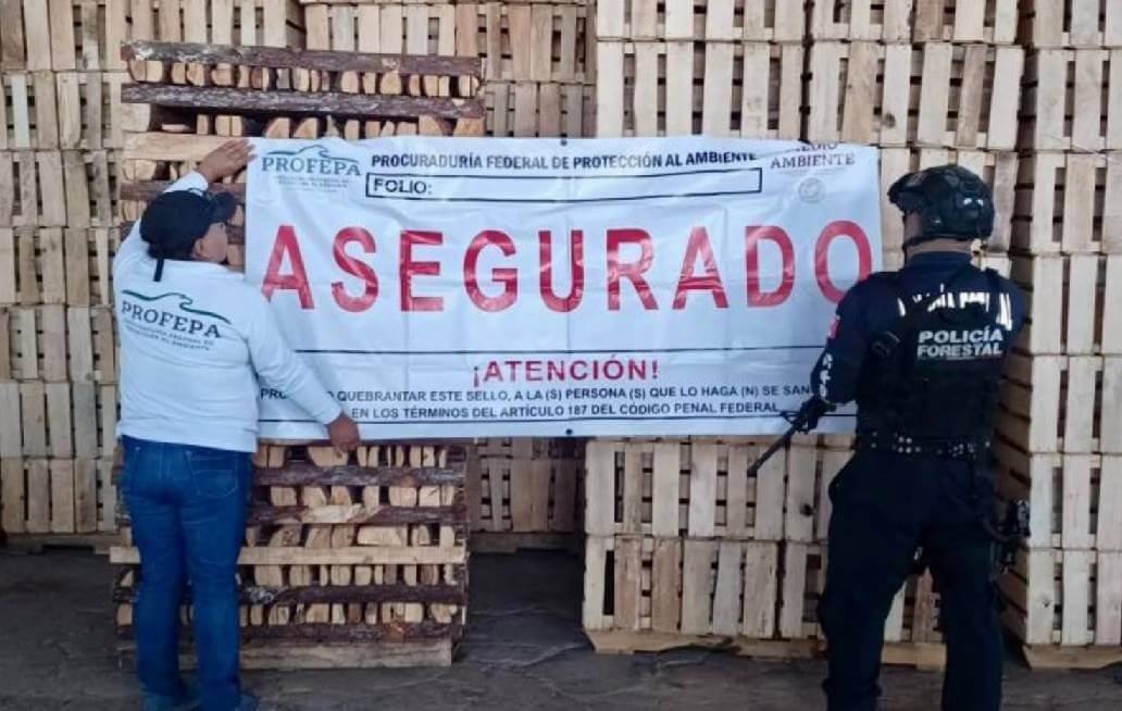 SSP y PROFEPA clausuran aserraderos en Chignahuapan y Aquixtla