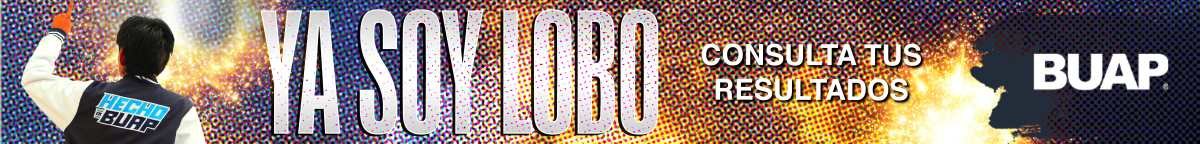 spot_img