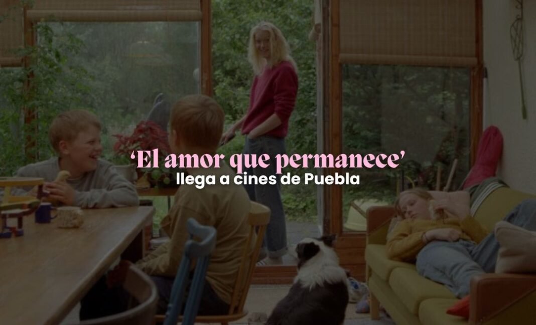 ‘El amor que permanece’ llega a cines de la ciudad de Puebla 'El amor que permanece' llega a cines de la ciudad de Puebla