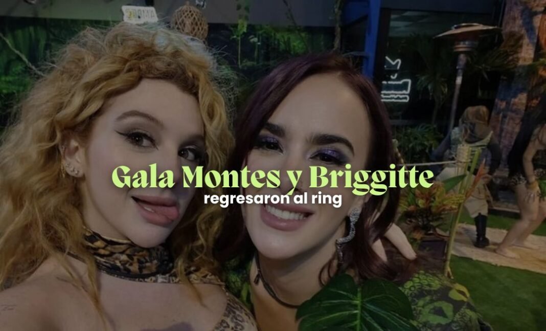 Briggitte Bozzo y Gala Montes reavivan su enemistad Briggitte Bozzo y Gala Montes reavivan su enemistad