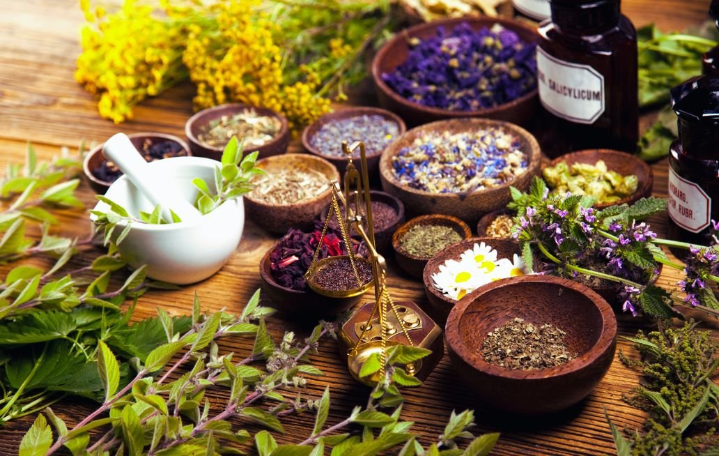 3 plantas medicinales que previenen enfermedades respiratorias