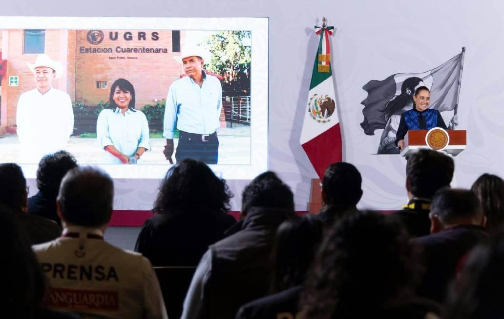  Anuncia Sheinbaum la reanudación de la exportación de ganado