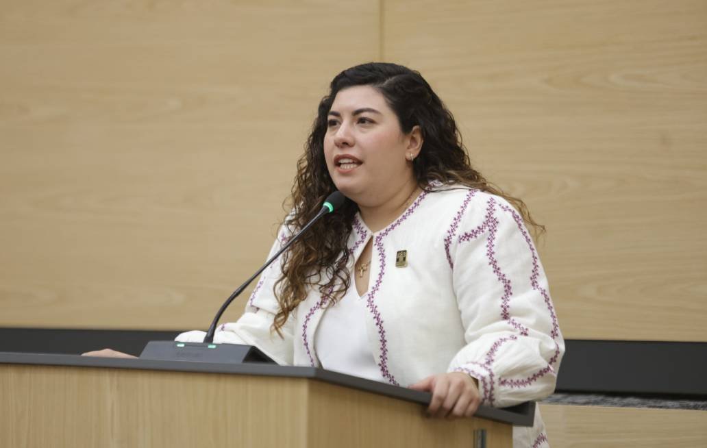 Diputada Xel Arianna Hernández propone un Programa de Egreso Protegido para jóvenes bajo tutela del DIF Diputada Xel Arianna Hernández propone un Programa de Egreso