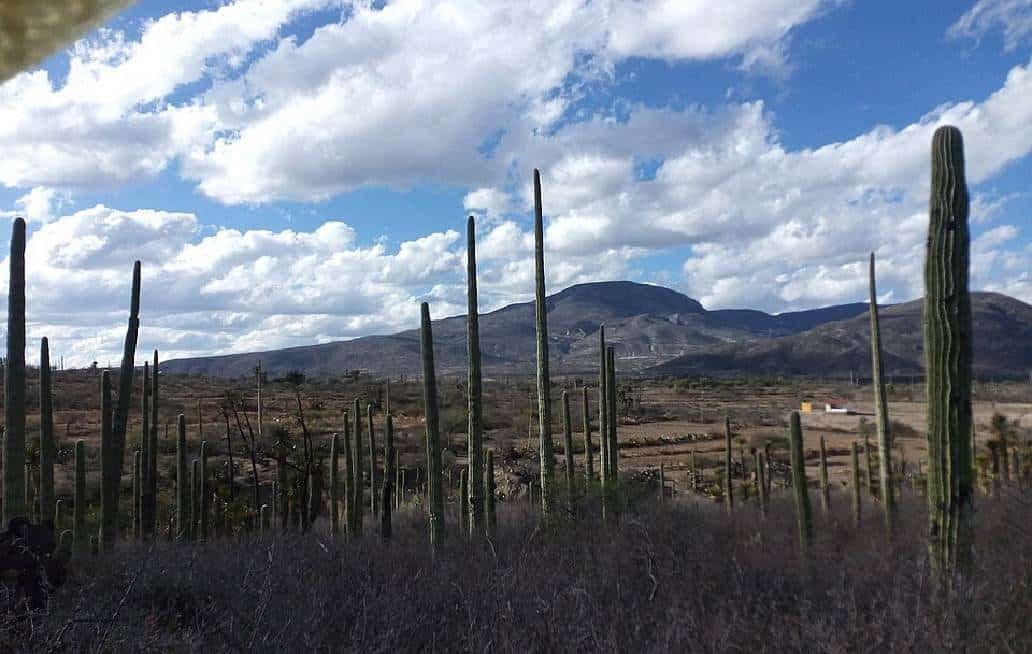 EL océano de Puebla que quedó en las piedras de San Juan Raya