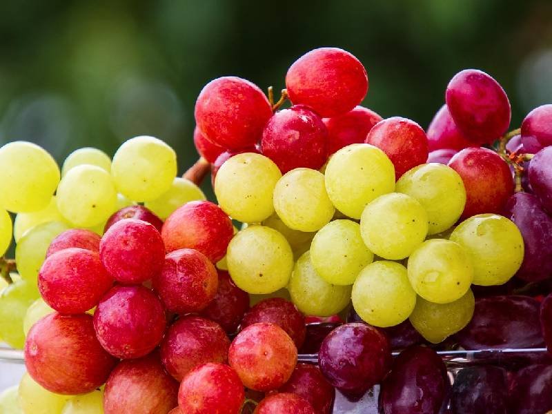 la fruta que estabiliza la glucosa