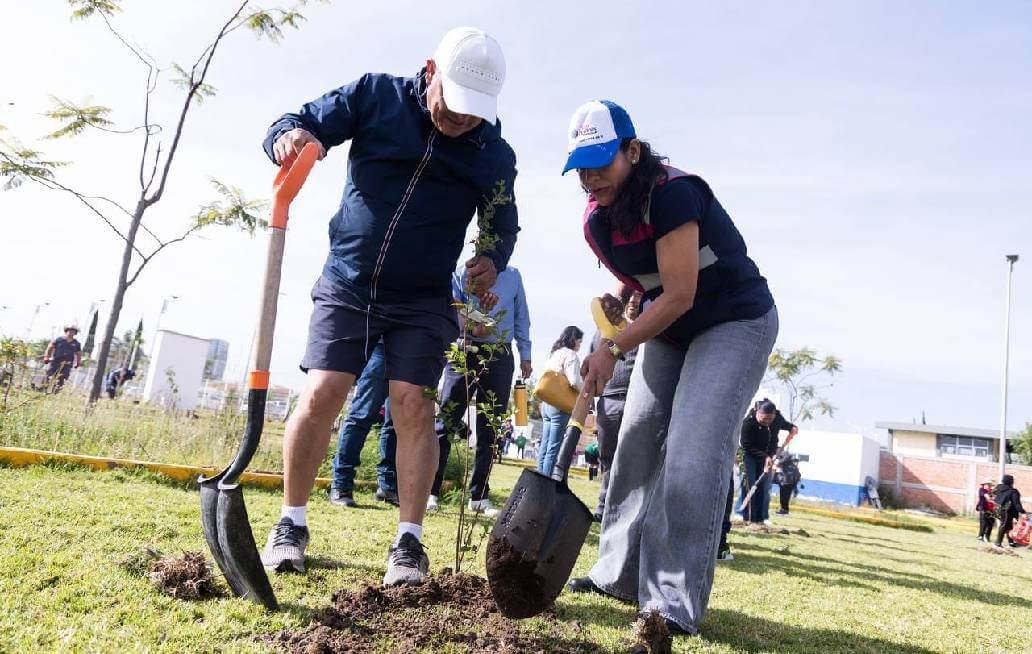 Realiza presidenta municipal de San Andrés Cholula jornada de reforestación en San Antonio Cacalotepec Realiza presidenta municipal de San Andrés Cholula jornada