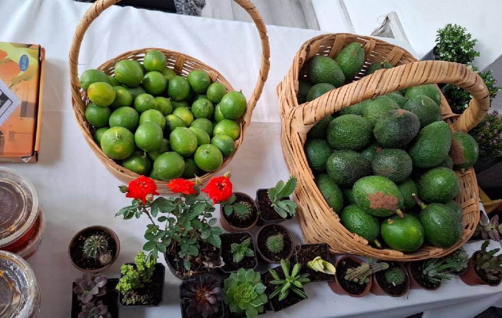 Un mercadito para celebrar y reconocer al campo poblano Un mercadito para celebrar y reconocer al campo poblano