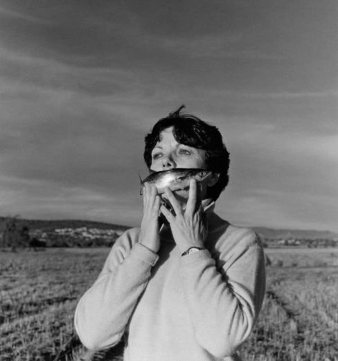 Día Mundial de la Fotografía