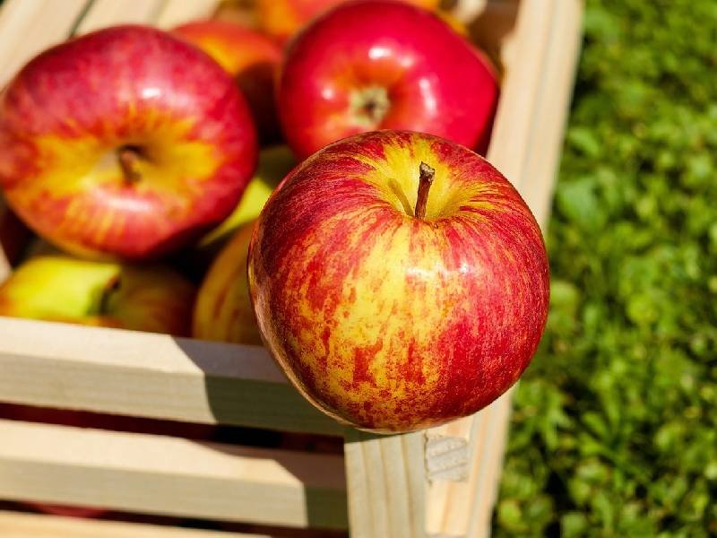 las ventajas de la manzana