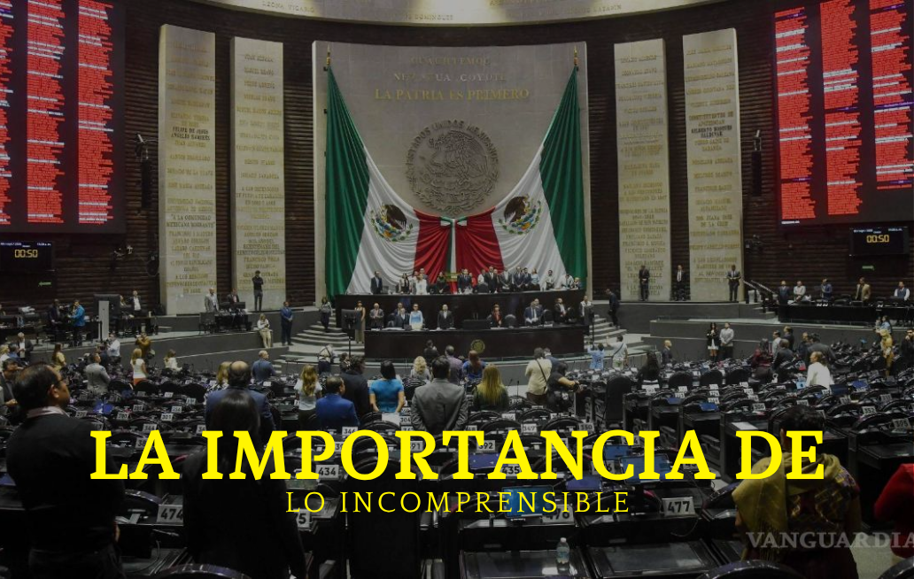 La importancia de lo incomprensible CÁMARA DE DIPUTADOS