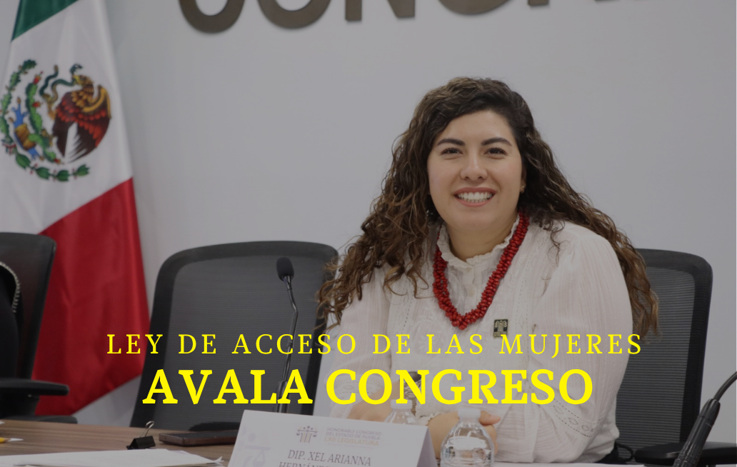 Avala Comisión del Congreso reformas a la Ley para el Acceso de las Mujeres a una Vida Libre de Violencia sobre órdenes de protección CONGRESO DE PUEBLA