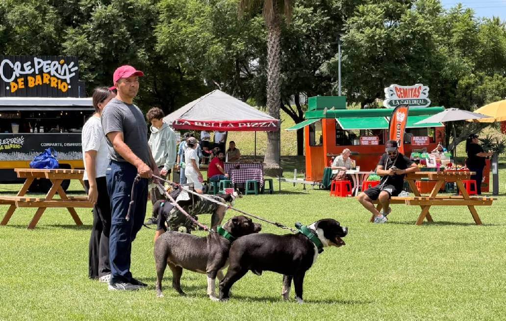 DIBA fortalece atención y protección de seres sintientes en Adopta Fest DIBA fortalece atención y protección de seres sintientes en Adopta