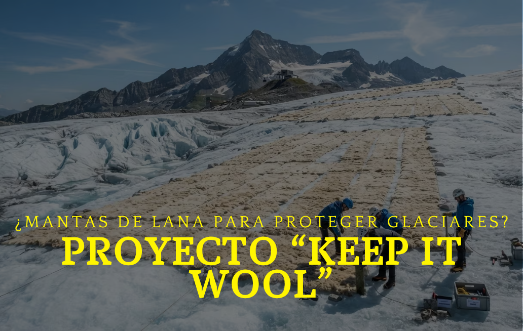 GLACIARES